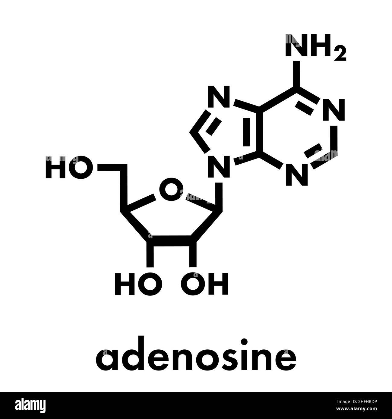 Adénosine (Ado) purine nucléoside molécule. Composant important de l'ATP, de l'ADP, du camp et de l'ARN. Également utilisé comme médicament. Formule du squelette. Illustration de Vecteur