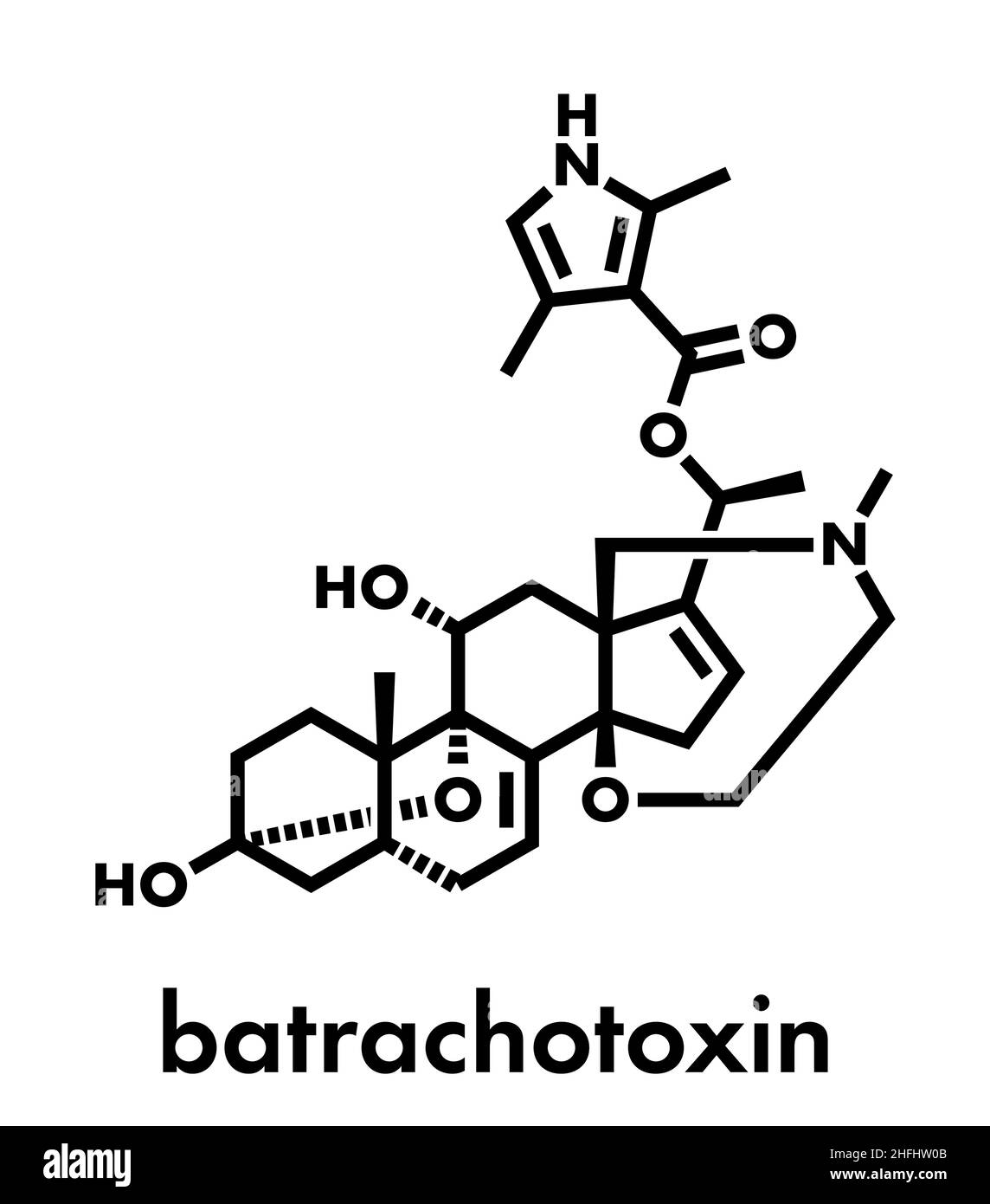 Batrachotoxin (BTX) molécule neurotoxique. On trouve dans nombre d'animaux, y compris poison dart frogs. Formule topologique. Illustration de Vecteur