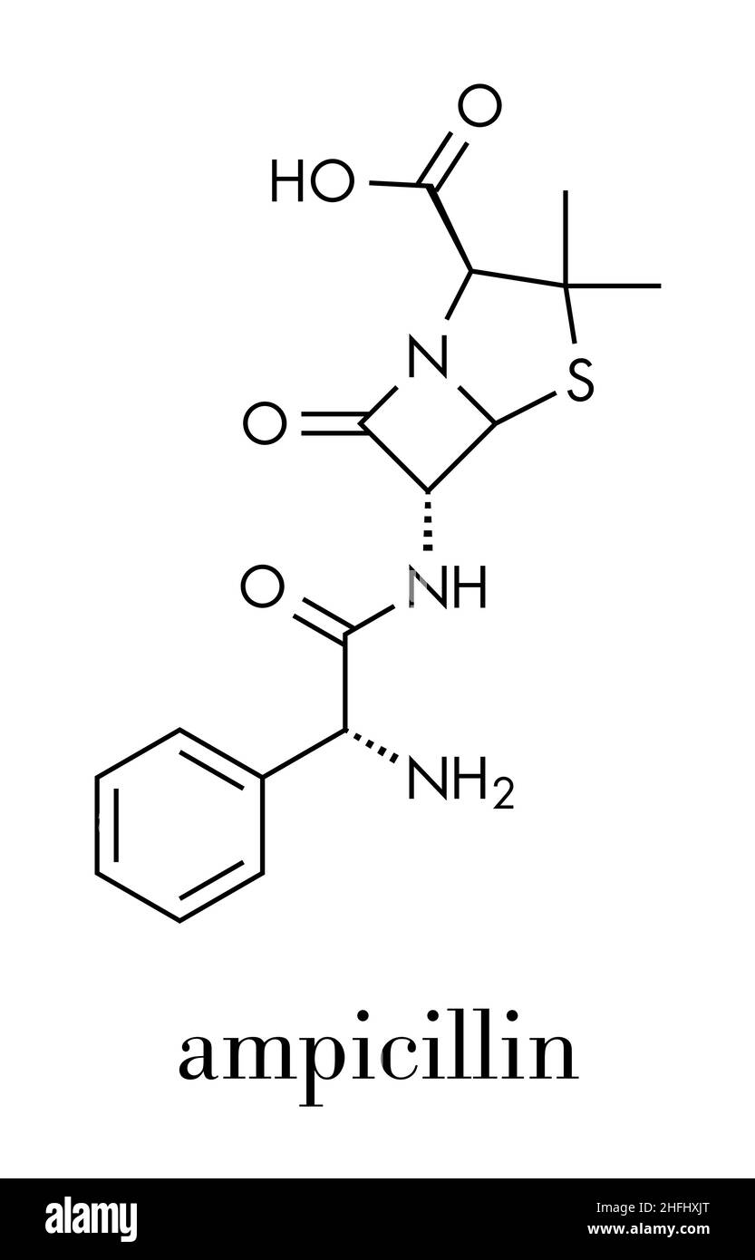 Ampicillin bêta-lactamines molécule pharmaceutique. Formule topologique. Illustration de Vecteur
