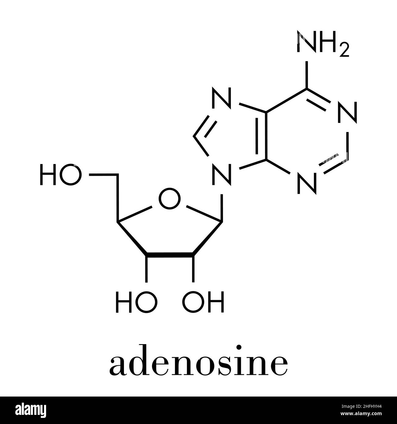 Adénosine (Ado) purine nucléoside molécule. Composant important de l'ATP, de l'ADP, du camp et de l'ARN. Également utilisé comme médicament. Formule du squelette. Illustration de Vecteur