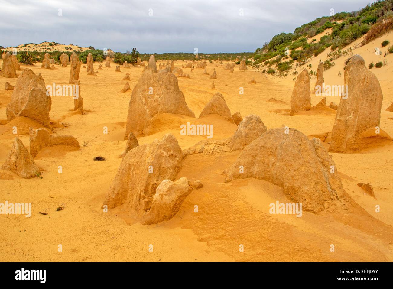 Les Pinnacles, le Parc National de Nambung Banque D'Images