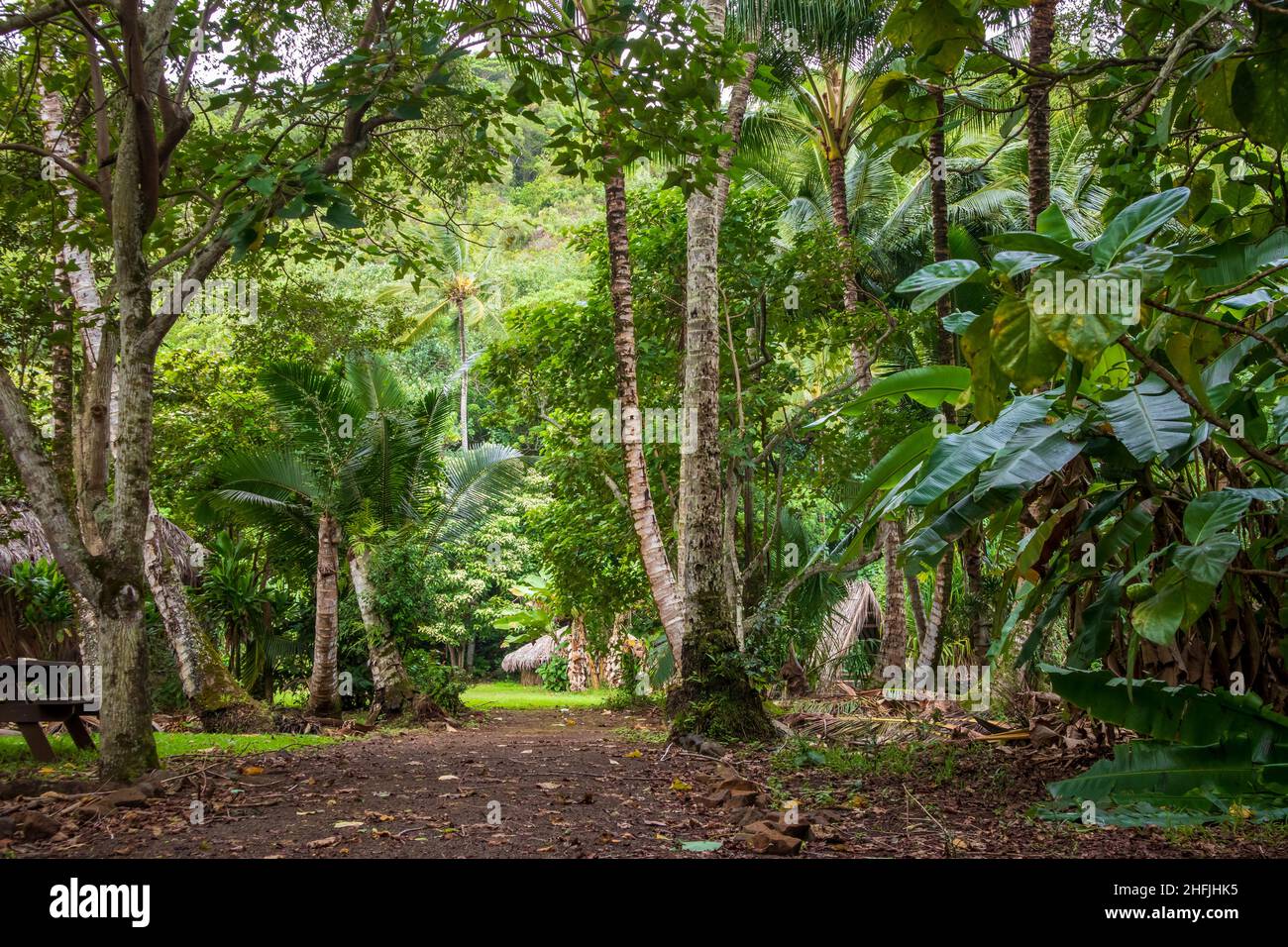 Paysage tropical pittoresque près de la rivière Wailua et du village hawaïen de Kamokila sur l'île de Kauai, Hawaï Banque D'Images