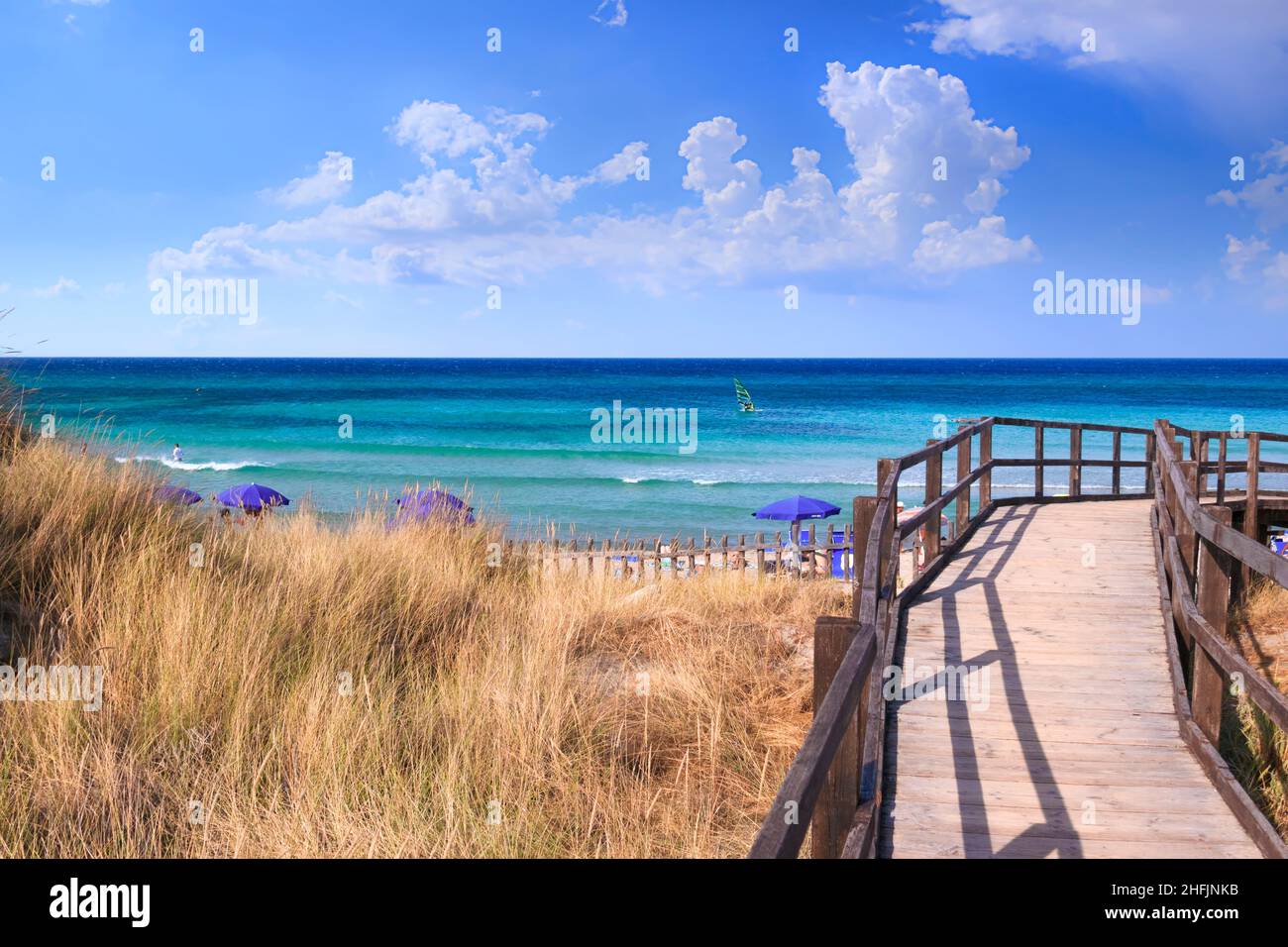 Parc naturel régional Dune Costiere (Torre canne) : passerelle en bois entre les dunes de mer. À Apulia, Italie. Banque D'Images