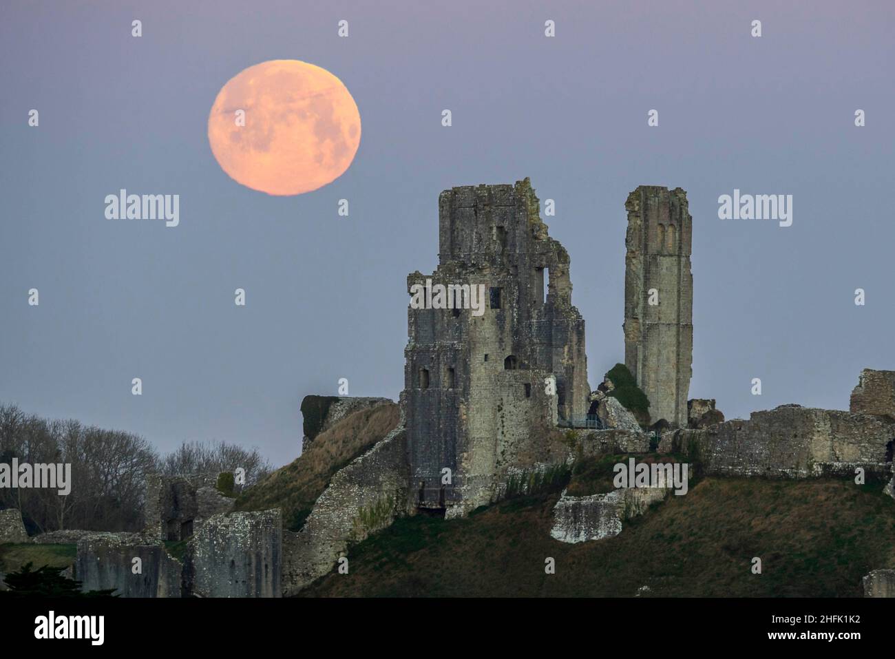 Corfe Castle, Dorset, Royaume-Uni.17th janvier 2022.Météo Royaume-Uni.La pleine lune du loup dans le ciel clair de l'aube à elle descend derrière les ruines du château de Corfe à Dorset, un matin froid gelé.Crédit photo : Graham Hunt/Alamy Live News Banque D'Images