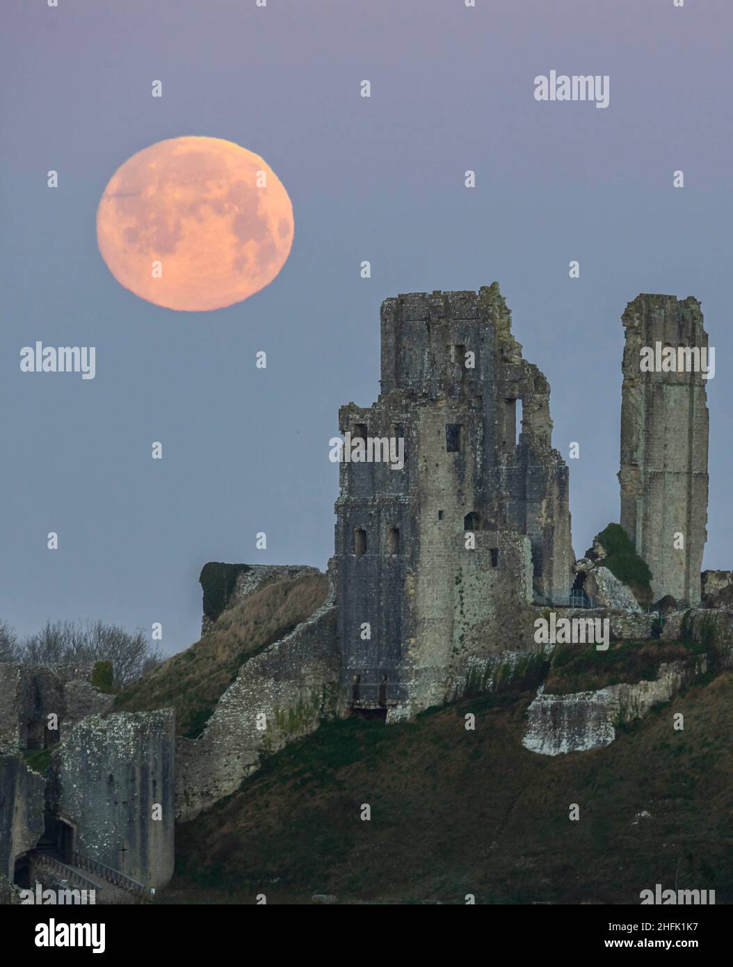 Corfe Castle, Dorset, Royaume-Uni.17th janvier 2022.Météo Royaume-Uni.La pleine lune du loup dans le ciel clair de l'aube à elle descend derrière les ruines du château de Corfe à Dorset, un matin froid gelé.Crédit photo : Graham Hunt/Alamy Live News Banque D'Images