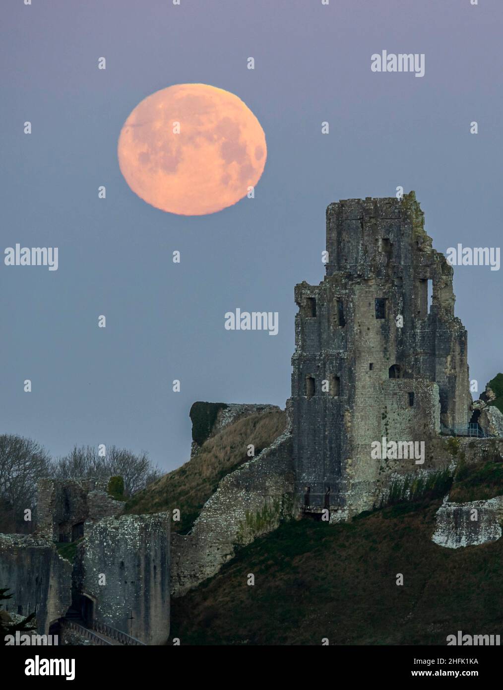 Corfe Castle, Dorset, Royaume-Uni.17th janvier 2022.Météo Royaume-Uni.La pleine lune du loup dans le ciel clair de l'aube à elle descend derrière les ruines du château de Corfe à Dorset, un matin froid gelé.Crédit photo : Graham Hunt/Alamy Live News Banque D'Images