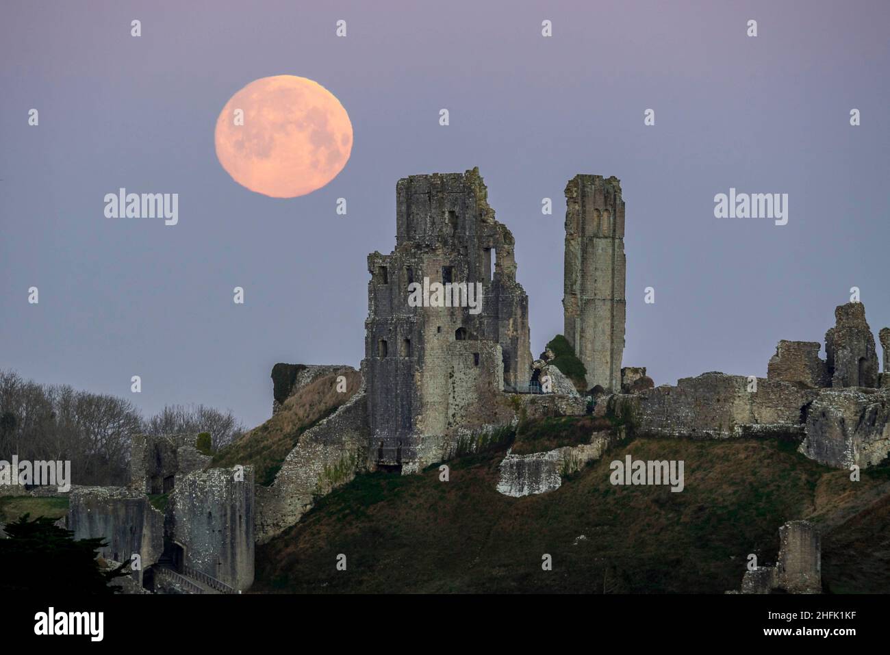 Corfe Castle, Dorset, Royaume-Uni.17th janvier 2022.Météo Royaume-Uni.La pleine lune du loup dans le ciel clair de l'aube à elle descend derrière les ruines du château de Corfe à Dorset, un matin froid gelé.Crédit photo : Graham Hunt/Alamy Live News Banque D'Images