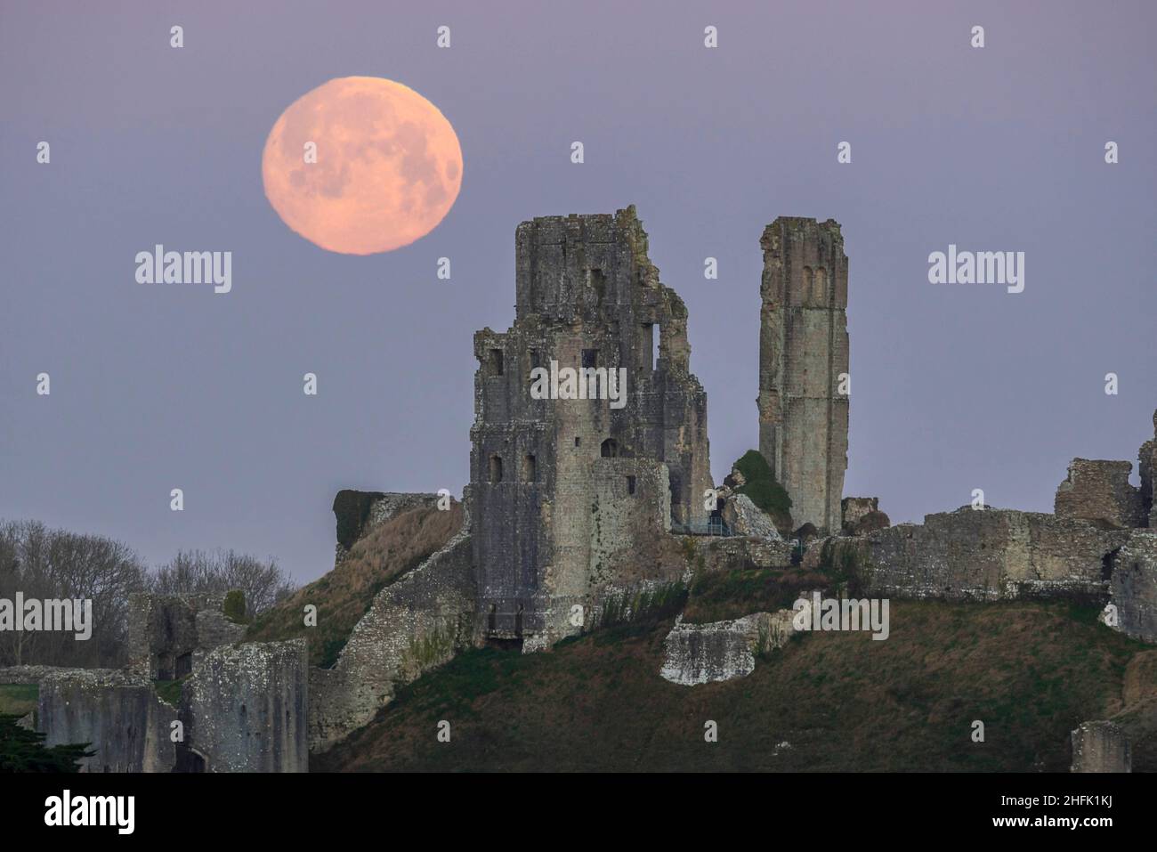 Corfe Castle, Dorset, Royaume-Uni.17th janvier 2022.Météo Royaume-Uni.La pleine lune du loup dans le ciel clair de l'aube à elle descend derrière les ruines du château de Corfe à Dorset, un matin froid gelé.Crédit photo : Graham Hunt/Alamy Live News Banque D'Images
