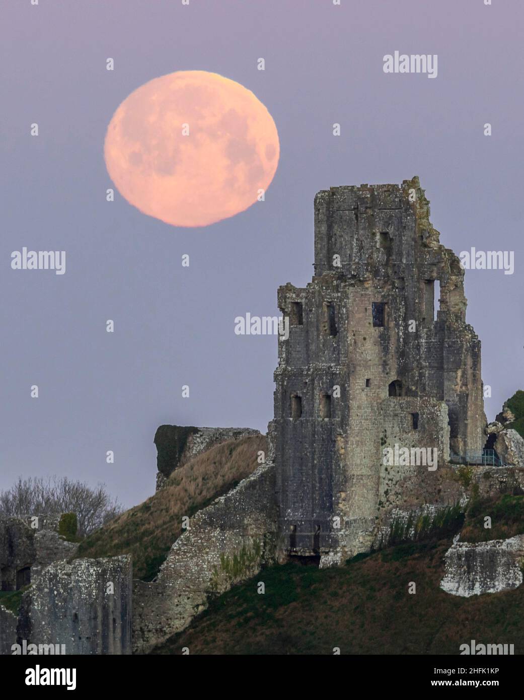 Corfe Castle, Dorset, Royaume-Uni.17th janvier 2022.Météo Royaume-Uni.La pleine lune du loup dans le ciel clair de l'aube à elle descend derrière les ruines du château de Corfe à Dorset, un matin froid gelé.Crédit photo : Graham Hunt/Alamy Live News Banque D'Images