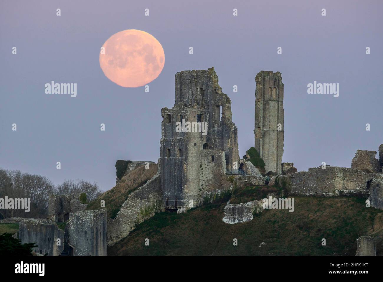 Corfe Castle, Dorset, Royaume-Uni.17th janvier 2022.Météo Royaume-Uni.La pleine lune du loup dans le ciel clair de l'aube à elle descend derrière les ruines du château de Corfe à Dorset, un matin froid gelé.Crédit photo : Graham Hunt/Alamy Live News Banque D'Images