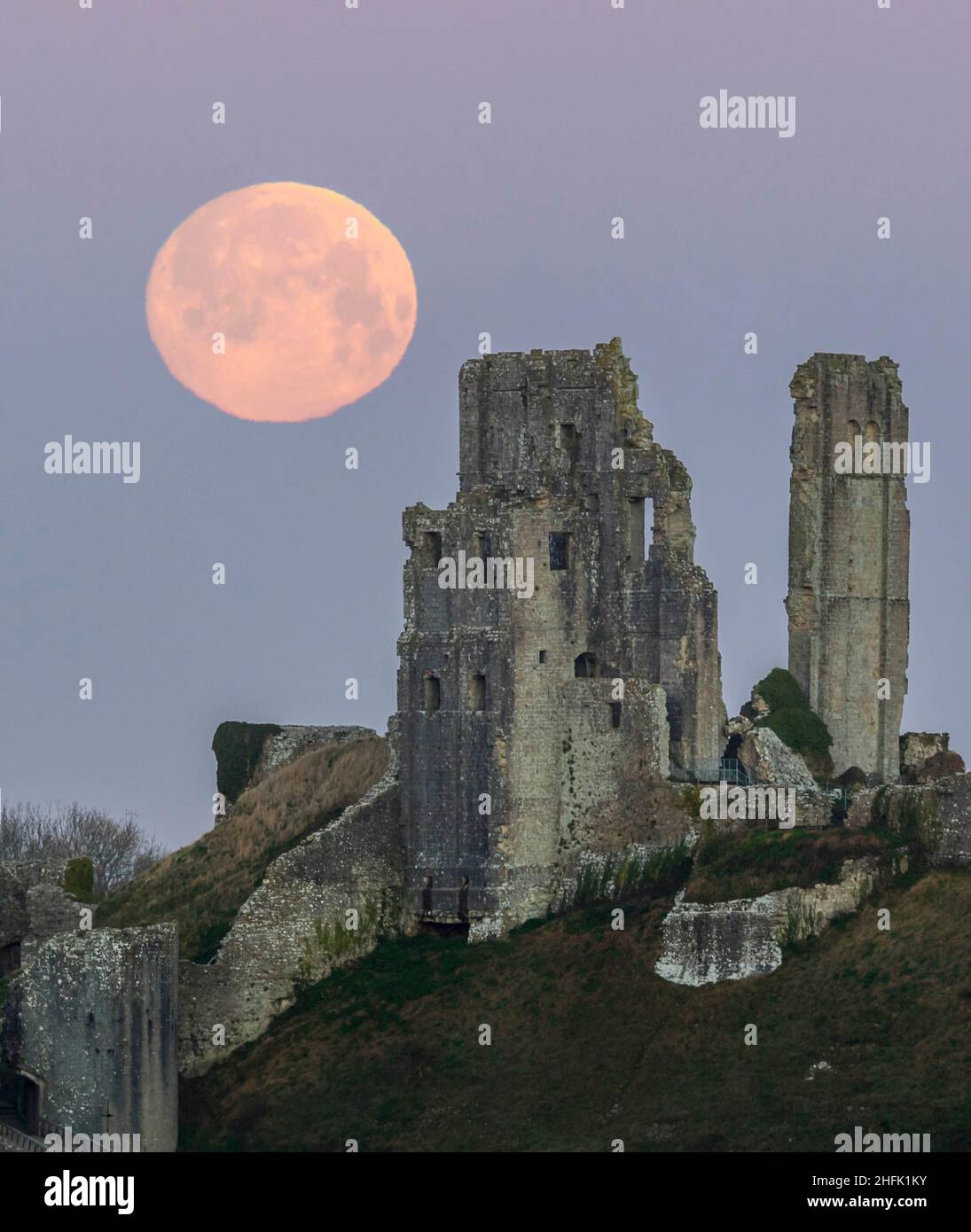 Corfe Castle, Dorset, Royaume-Uni.17th janvier 2022.Météo Royaume-Uni.La pleine lune du loup dans le ciel clair de l'aube à elle descend derrière les ruines du château de Corfe à Dorset, un matin froid gelé.Crédit photo : Graham Hunt/Alamy Live News Banque D'Images