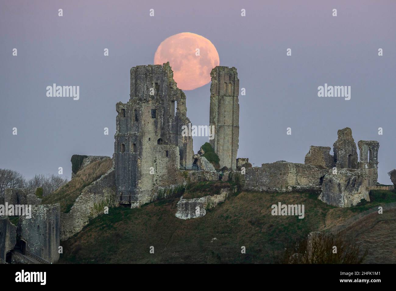 Corfe Castle, Dorset, Royaume-Uni.17th janvier 2022.Météo Royaume-Uni.La pleine lune du loup dans le ciel clair de l'aube à elle descend derrière les ruines du château de Corfe à Dorset, un matin froid gelé.Crédit photo : Graham Hunt/Alamy Live News Banque D'Images