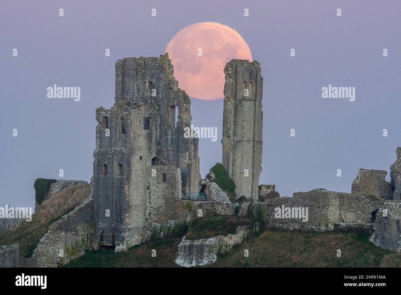 Corfe Castle, Dorset, Royaume-Uni.17th janvier 2022.Météo Royaume-Uni.La pleine lune du loup dans le ciel clair de l'aube à elle descend derrière les ruines du château de Corfe à Dorset, un matin froid gelé.Crédit photo : Graham Hunt/Alamy Live News Banque D'Images