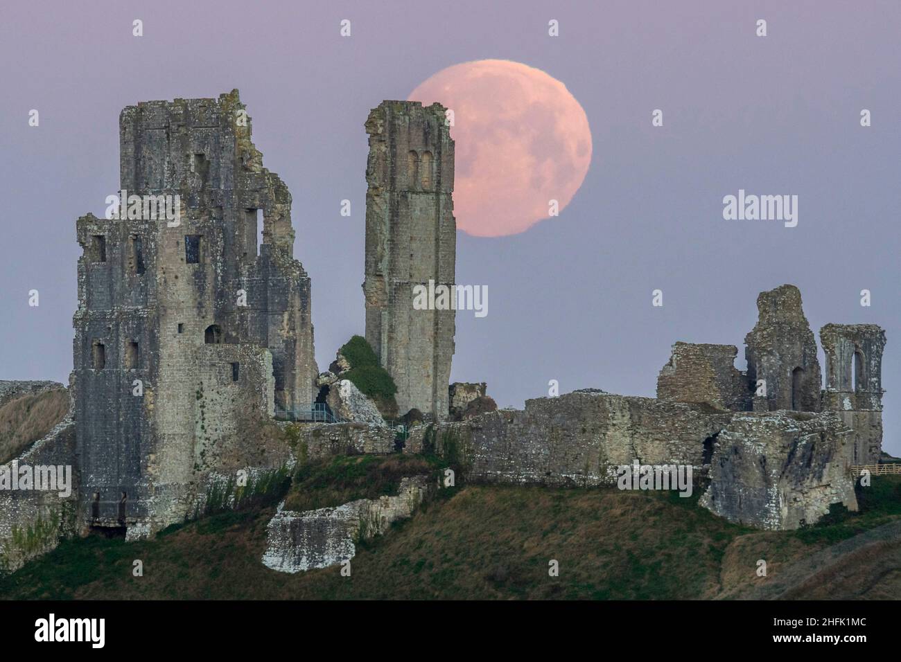 Corfe Castle, Dorset, Royaume-Uni.17th janvier 2022.Météo Royaume-Uni.La pleine lune du loup dans le ciel clair de l'aube à elle descend derrière les ruines du château de Corfe à Dorset, un matin froid gelé.Crédit photo : Graham Hunt/Alamy Live News Banque D'Images