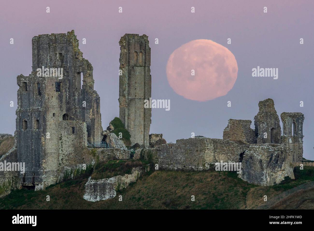 Corfe Castle, Dorset, Royaume-Uni.17th janvier 2022.Météo Royaume-Uni.La pleine lune du loup dans le ciel clair de l'aube à elle descend derrière les ruines du château de Corfe à Dorset, un matin froid gelé.Crédit photo : Graham Hunt/Alamy Live News Banque D'Images