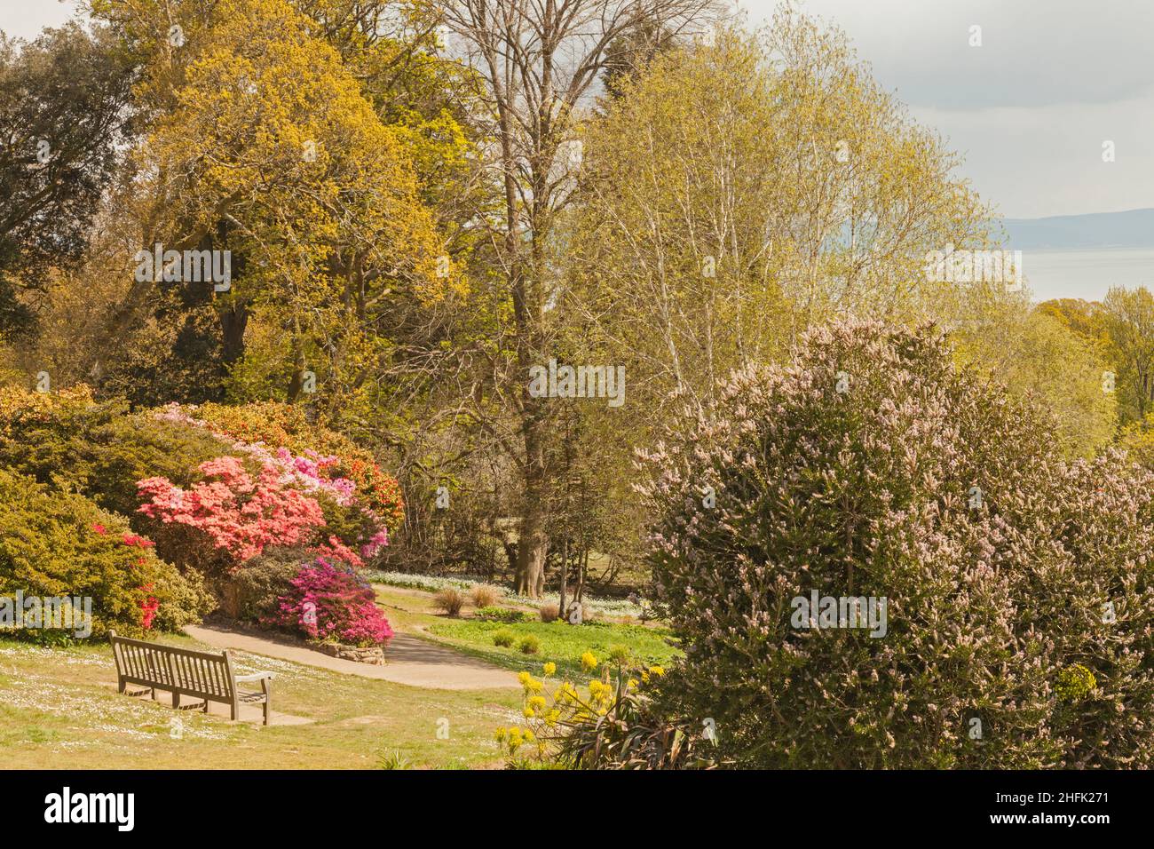 Clyne Gardens in Flower, BlackPill, Swansea, pays de Galles du Sud, Royaume-Uni Banque D'Images