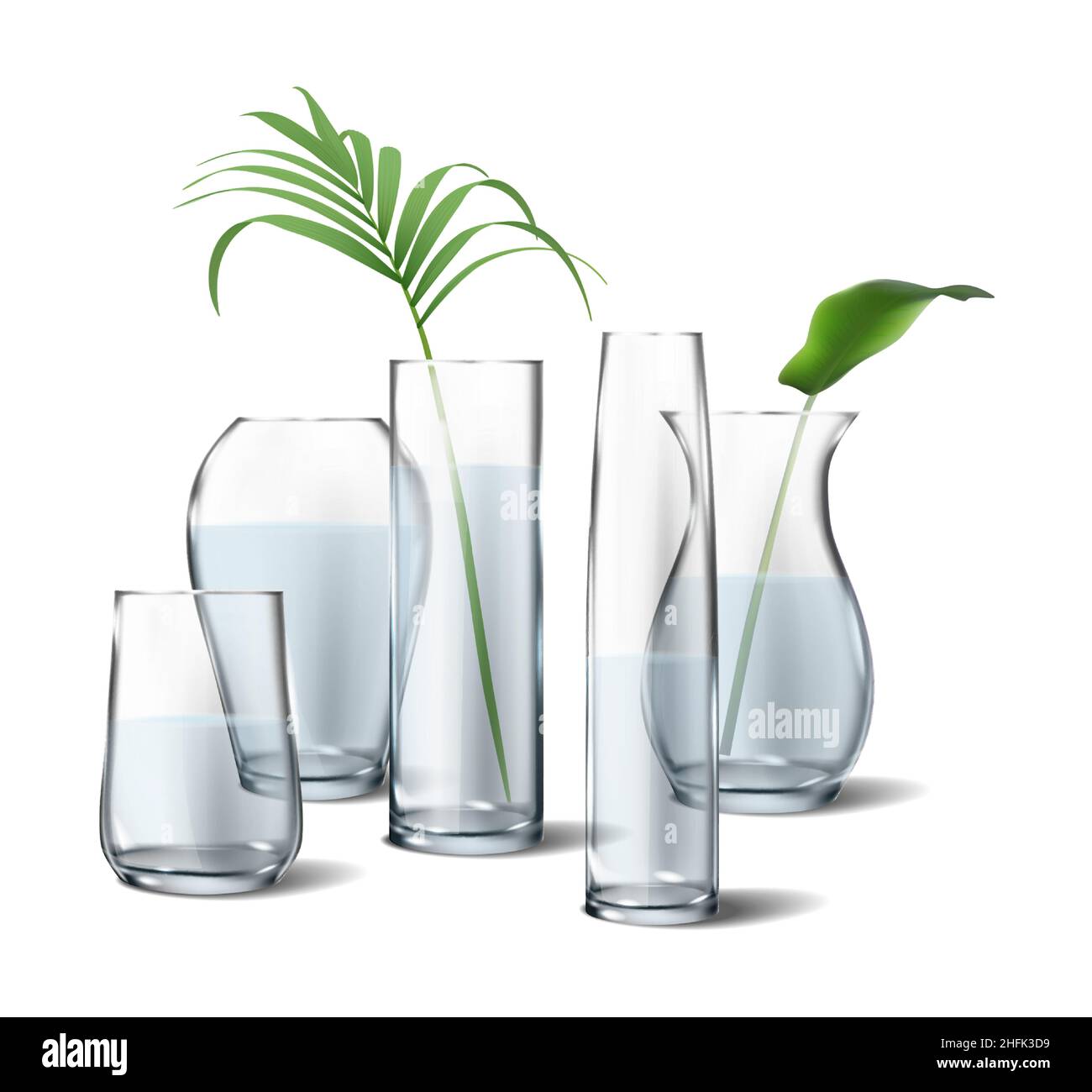 icône réaliste.Isolé.Collection de vases transparents en verre de fleur avec plantes à l'intérieur.Sur fond blanc. Illustration de Vecteur