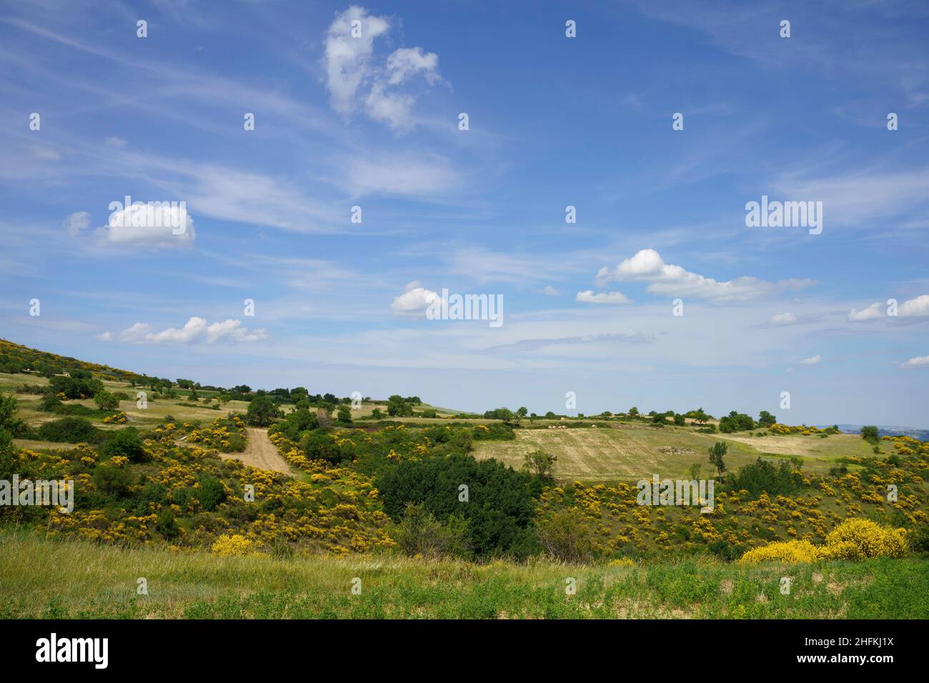 Paysage à Molise près de Macchiagodena et Frosolone, province d'Isernia, en juin Banque D'Images