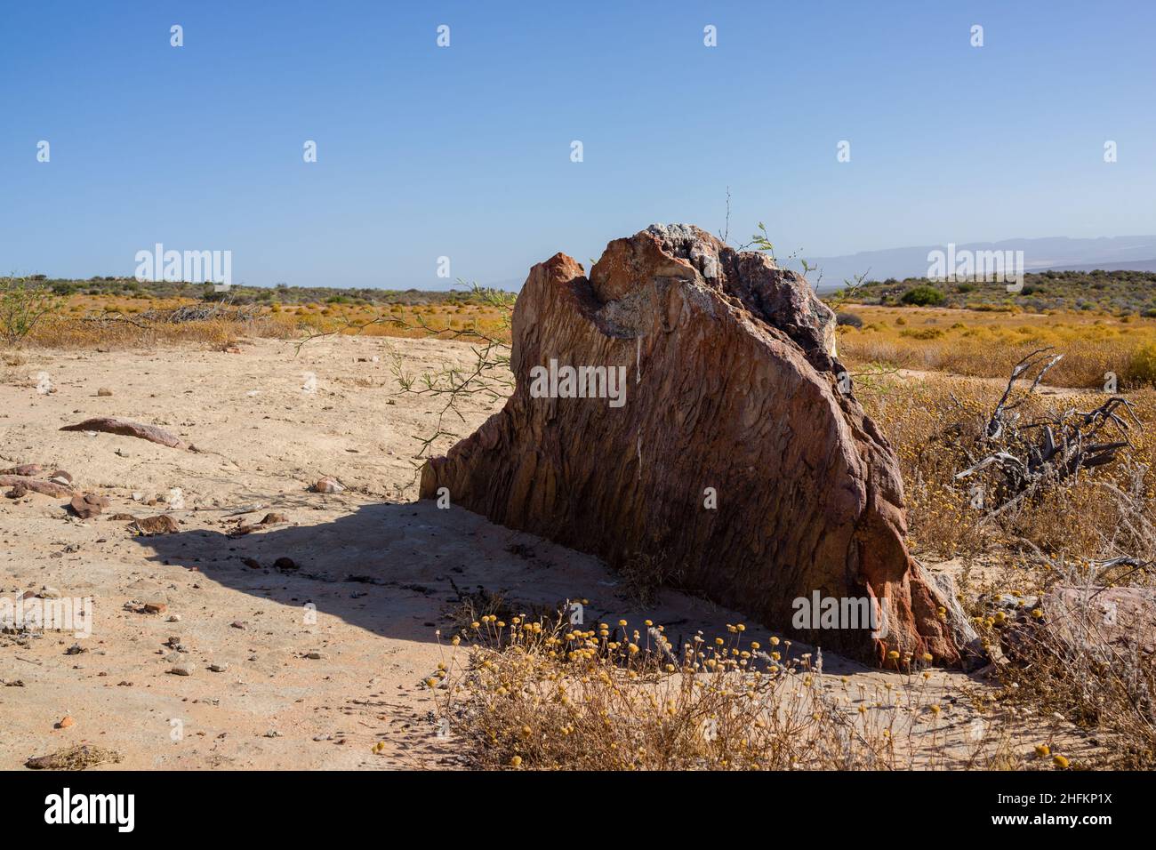 roche droite plate dans le sable Banque D'Images