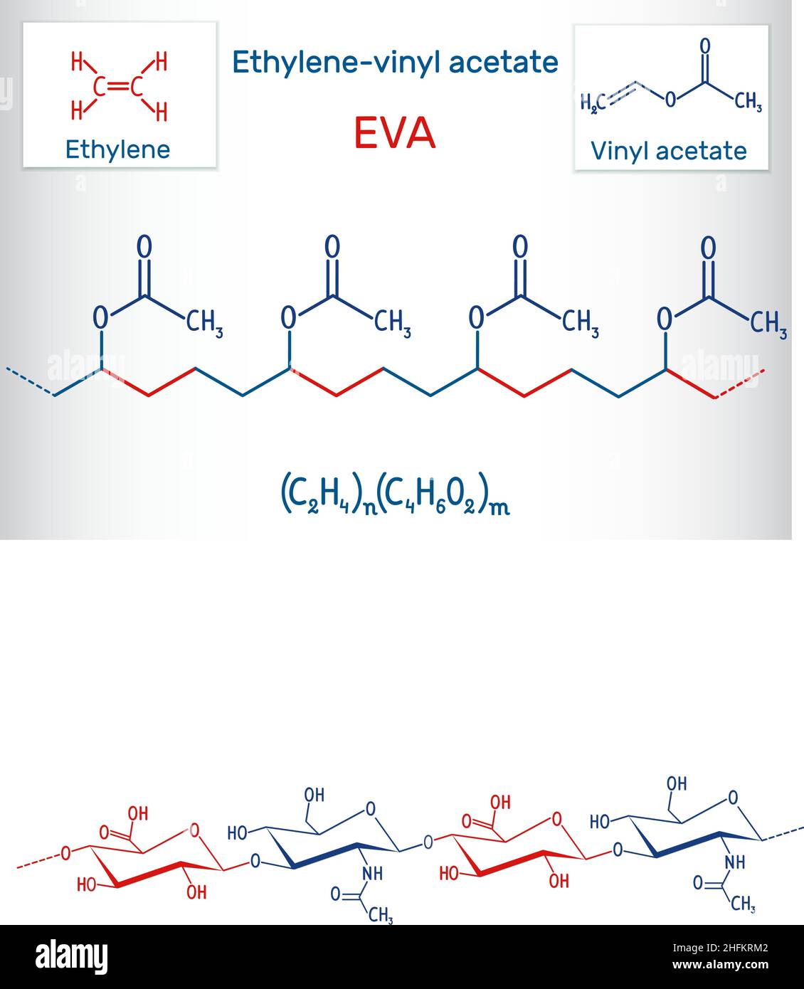 L'éthylène-acétate de vinyle (EVA). C'est est le copolymère d'éthylène et d'acétate de vinyle. Formule chimique structurels. Vector illustration Illustration de Vecteur