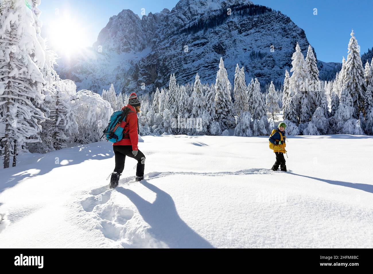 Paysage d'hiver dans la vallée de Krnica, Slovénie Banque D'Images
