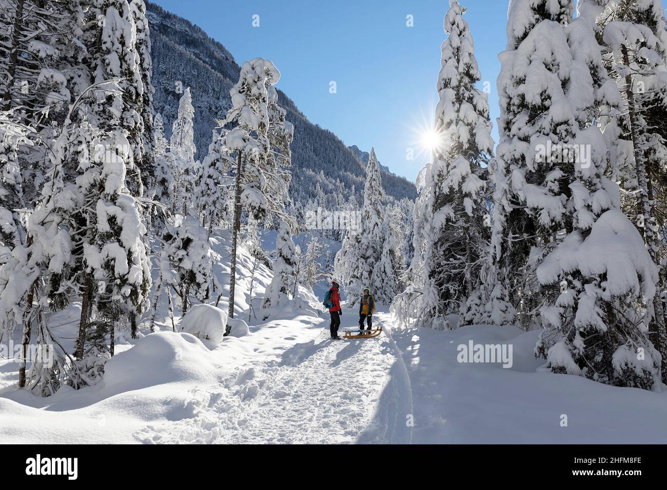 Mère et fils tirant des luges dans un magnifique paysage d'hiver dans la vallée de Krnica, en Slovénie Banque D'Images