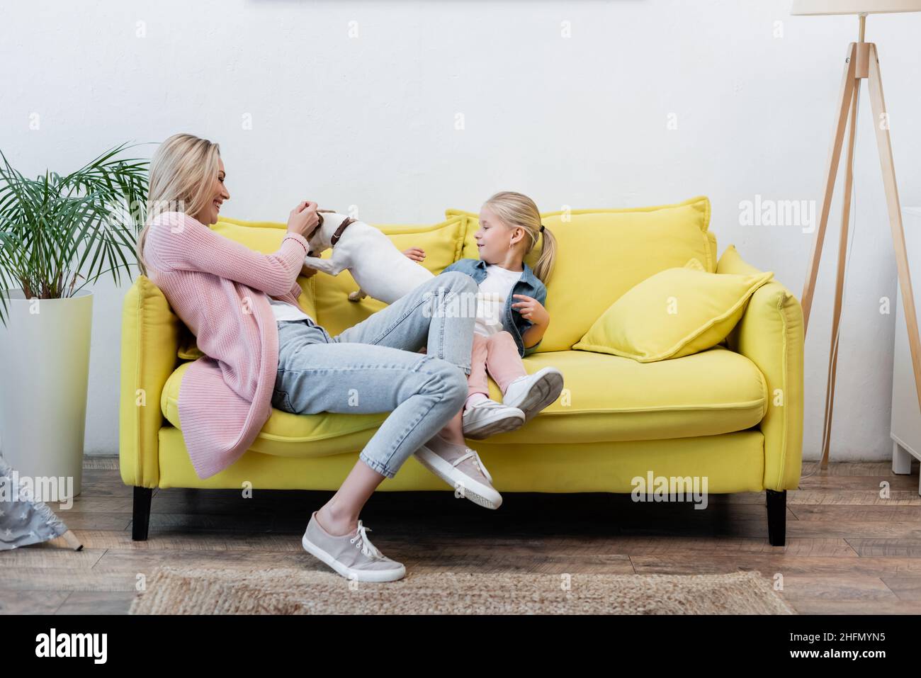Bonne famille jouant avec Jack russell terrier sur le canapé à la maison Banque D'Images