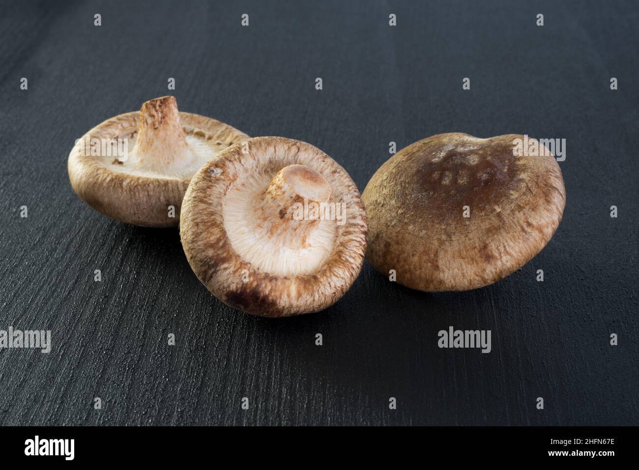 Champignons d'huîtres gros plan sur fond noir, champignons comestibles Banque D'Images