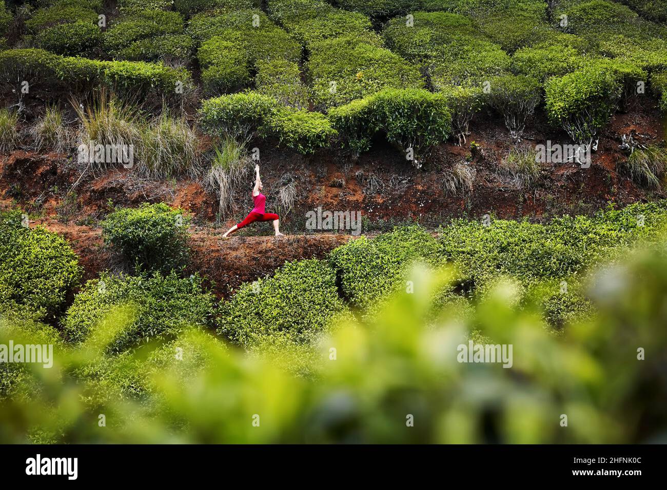 Yoga virabhadrasana I guerrier pose par FIT femme en costume rouge sur les plantations de thé dans les collines Munnar, Kerala, Inde Banque D'Images