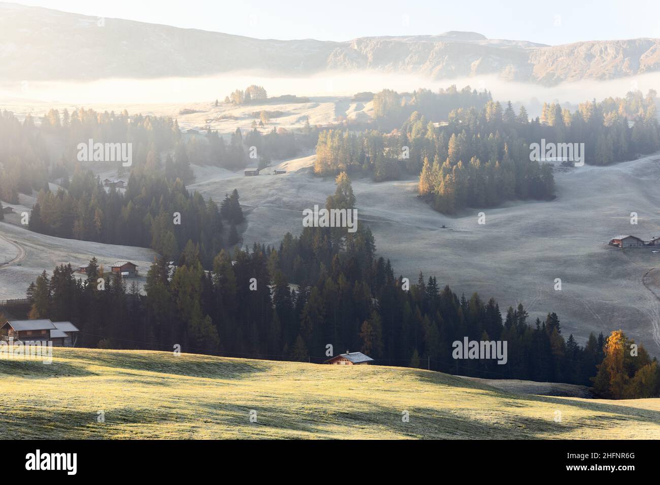 Pentes du plateau de l'Alm Seiser couvertes de brume matinale et des premières gelées Banque D'Images