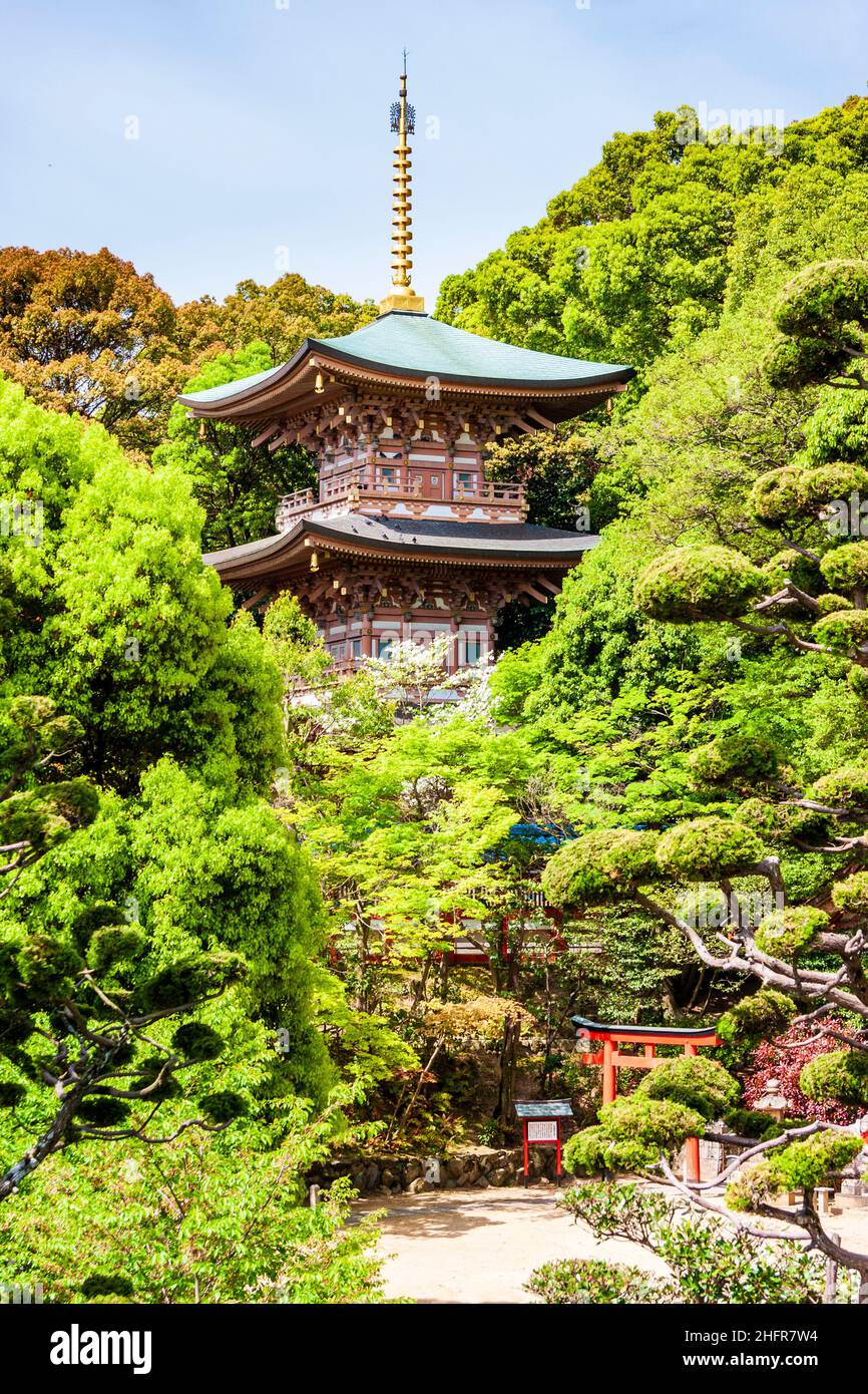 Le temple historique important et populaire de Suma-dera au Japon.La pagode en bois qui se trouve à moitié cachée dans les arbres au printemps sous un ciel bleu. Banque D'Images