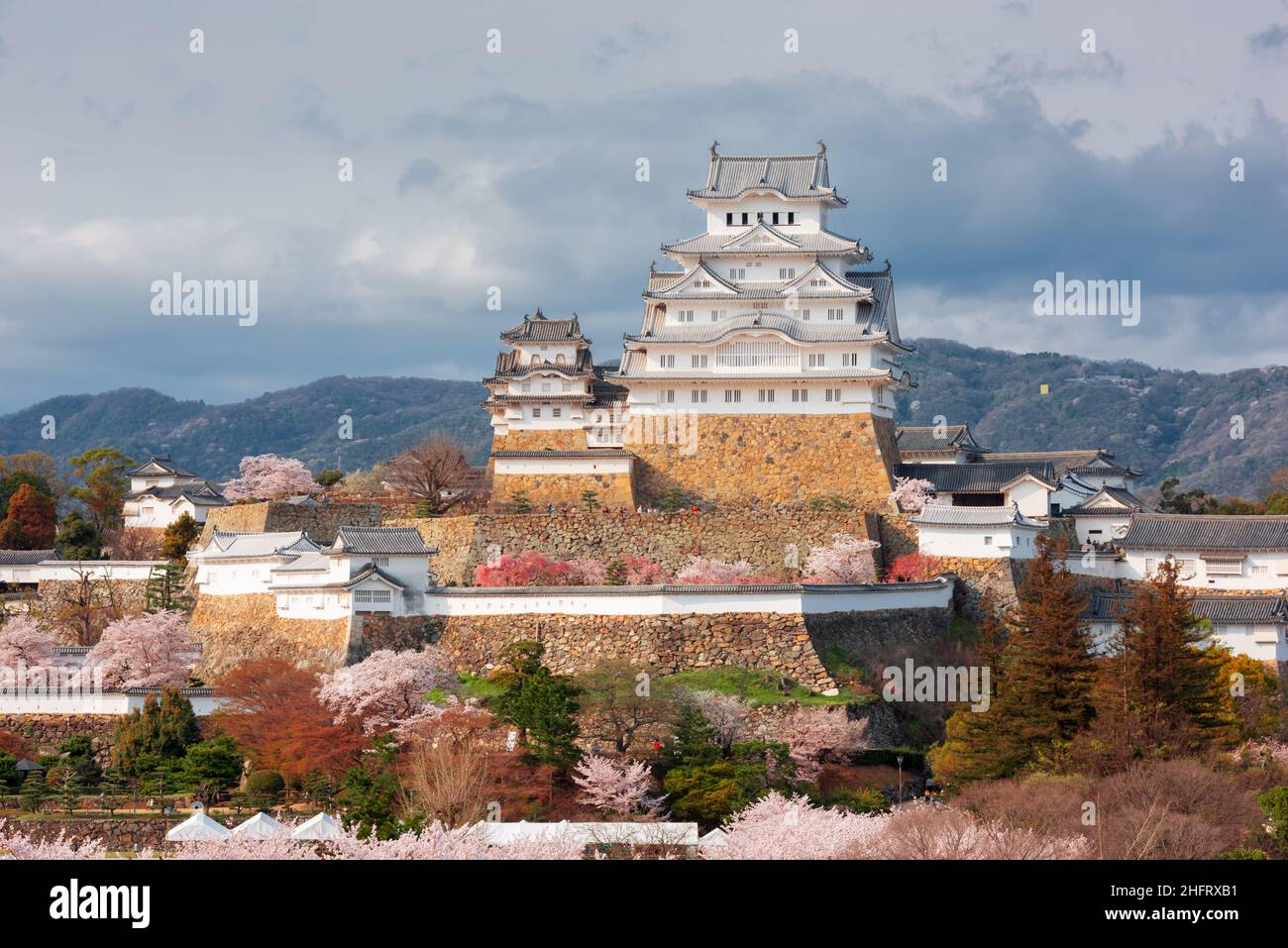 Himeji, Japon au château Himeji pendant la saison des cerisiers en fleurs au printemps dans la journée. Banque D'Images