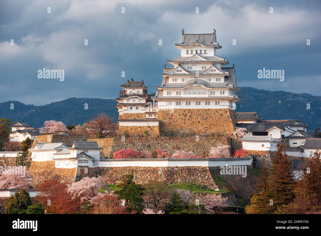 Himeji, Japon au château Himeji pendant la saison des cerisiers en fleurs au printemps dans la journée. Banque D'Images