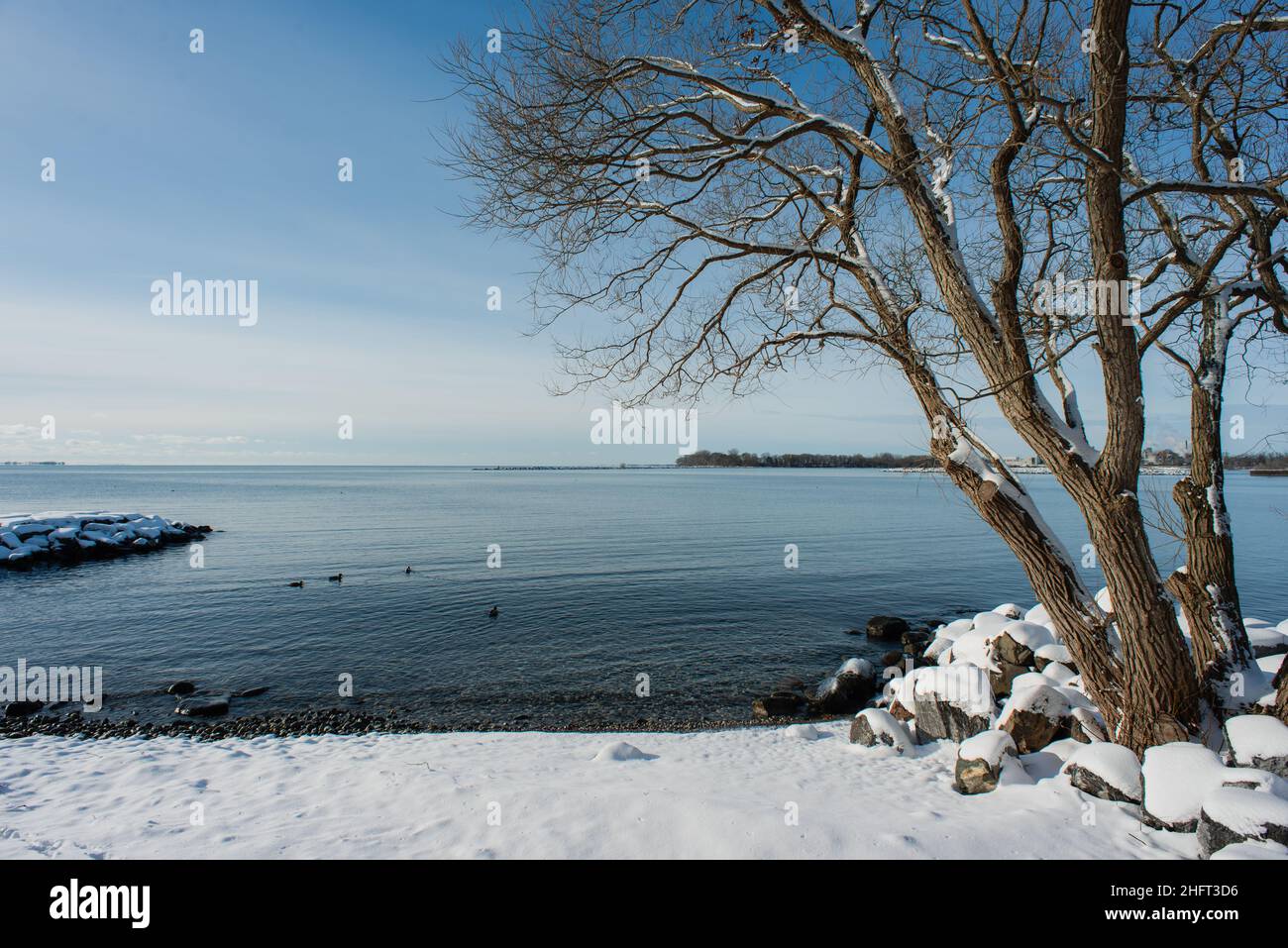 La plage couverte de neige et les arbres le long du lac Ontario en hiver. Banque D'Images