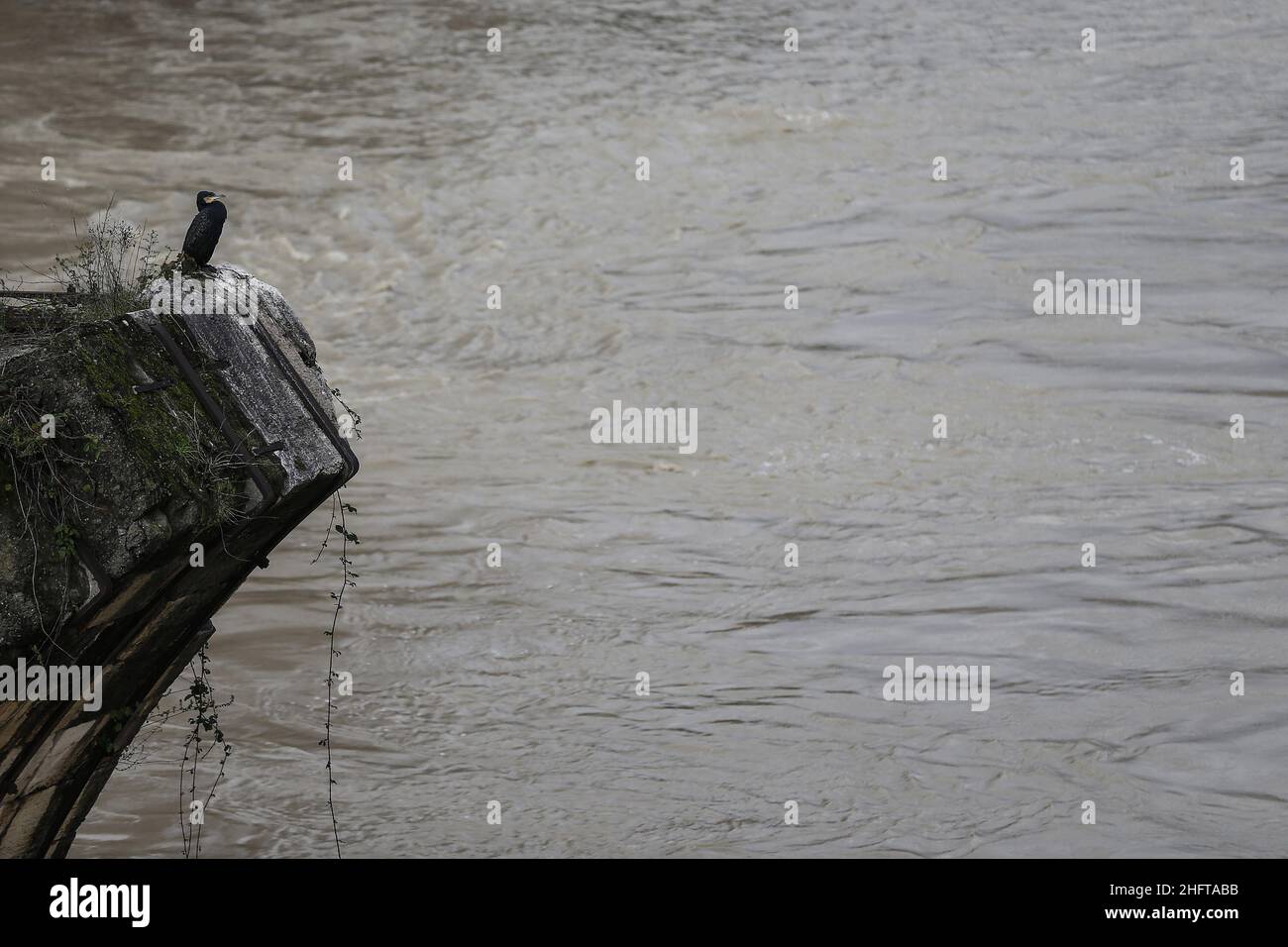 Cecilia Fabiano/Lapresse 04 janvier 2021 Roma (Italie) Actualités: En raison des fortes pluies, le Tibre a passé les berges basses et a envahi la voie piétonne dans le pic : Isola Tiberina Banque D'Images