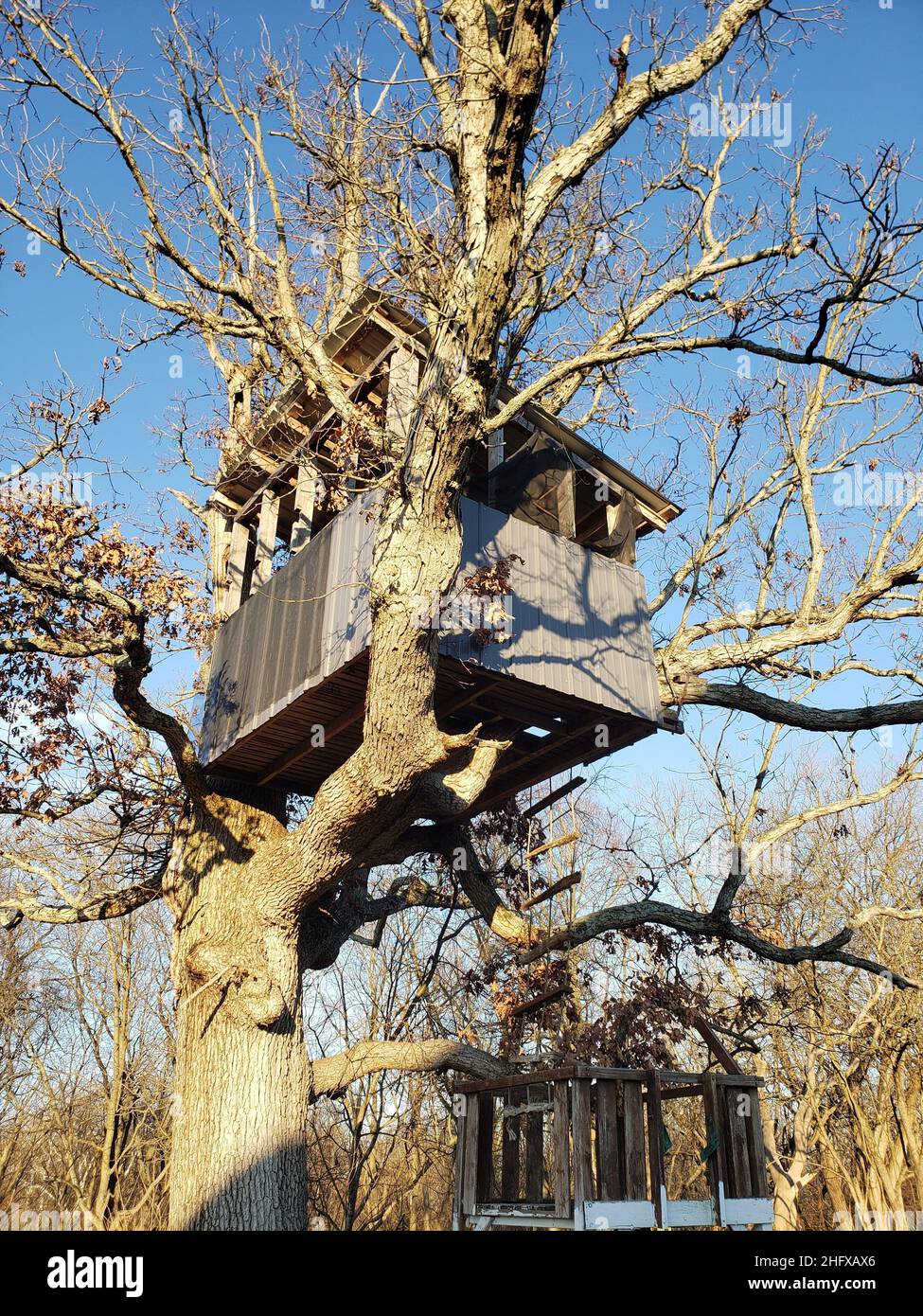 Treehouse Banque D'Images