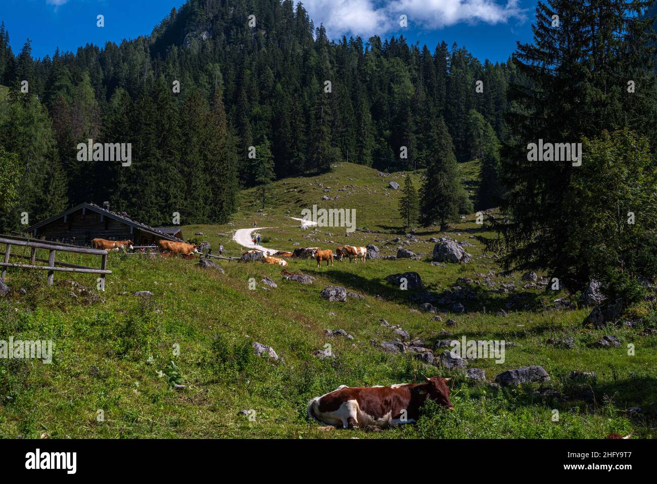 Alpen, Berchtesgadener Land im Sommer BEI blauem Himmel und schöner Sicht Banque D'Images