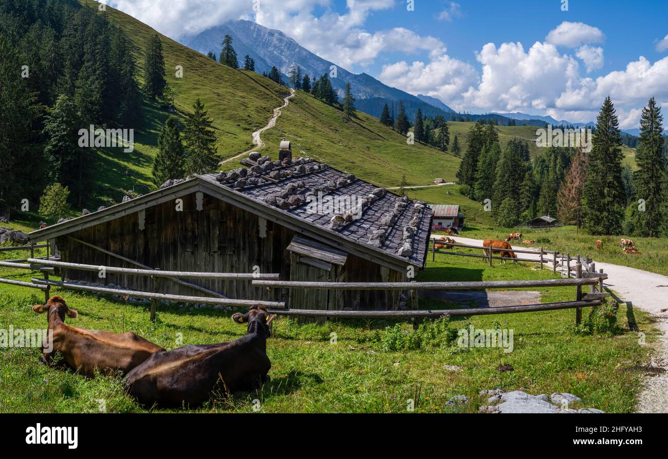 Alpen, Berchtesgadener Land im Sommer BEI blauem Himmel und schöner Sicht Banque D'Images