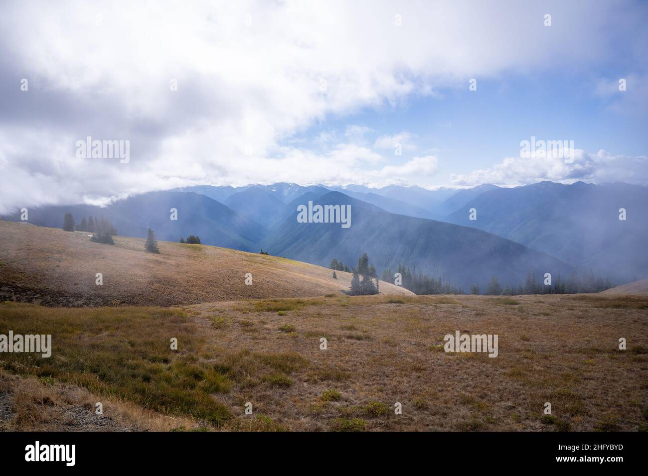 Hurricane Ridge est une région montagneuse du parc national olympique de Washington.À environ 18 km (29 miles) par la route de Port Angeles, la crête est op Banque D'Images