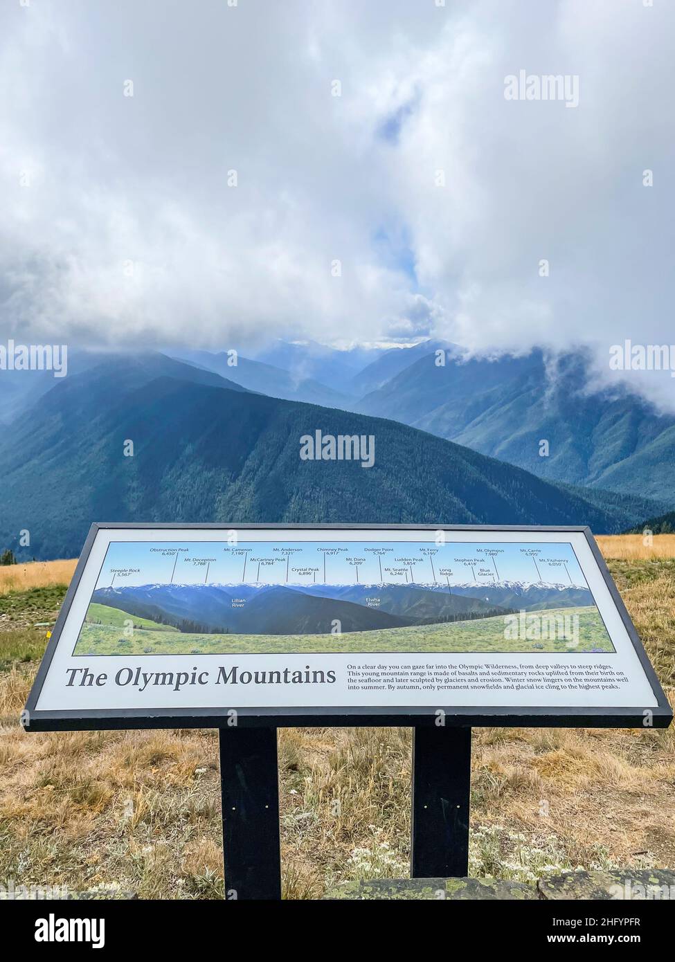 Hurricane Ridge est une région montagneuse du parc national olympique de Washington.À environ 18 km (29 miles) par la route de Port Angeles, la crête est op Banque D'Images