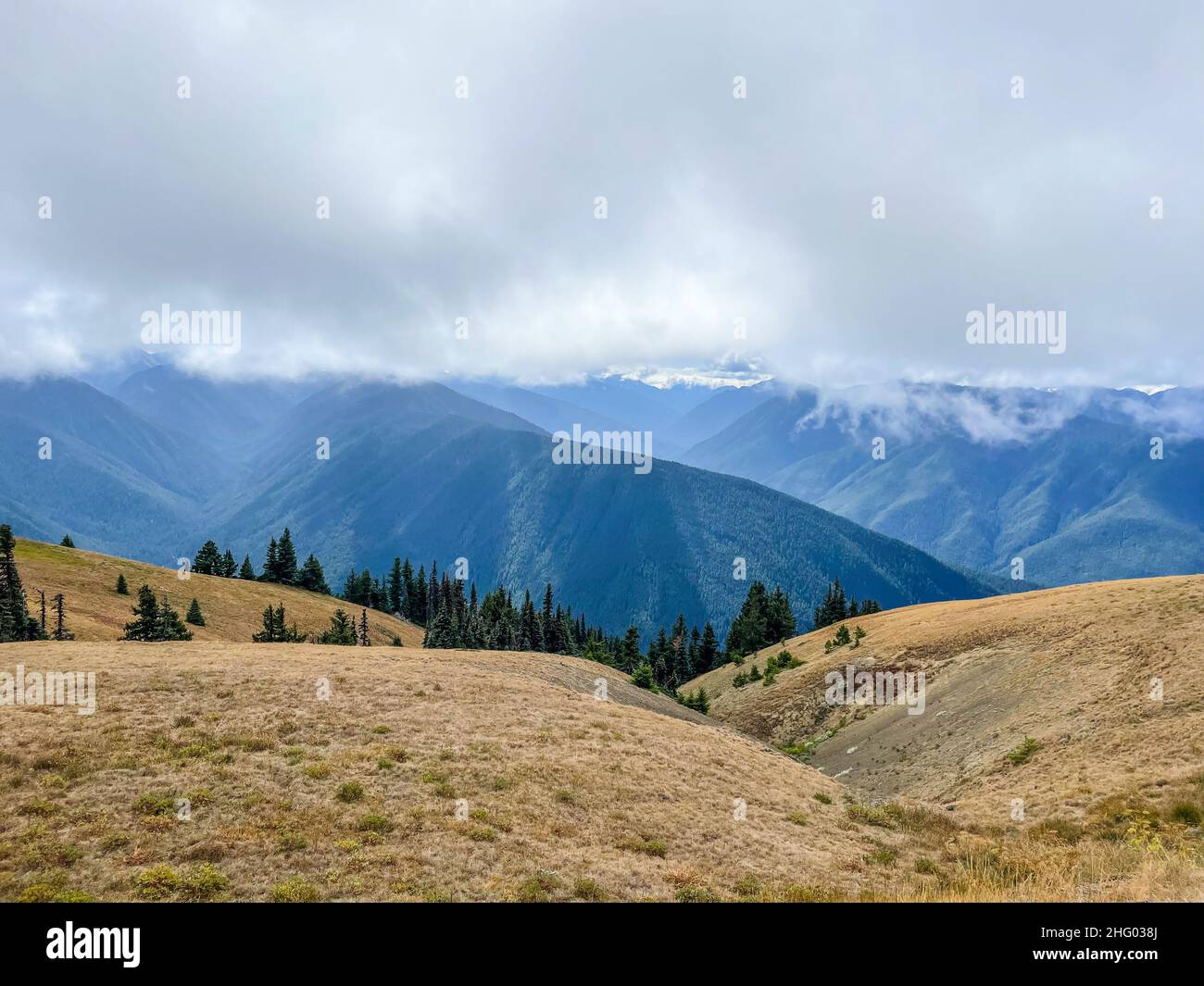 Hurricane Ridge est une région montagneuse du parc national olympique de Washington.À environ 18 km (29 miles) par la route de Port Angeles, la crête est op Banque D'Images