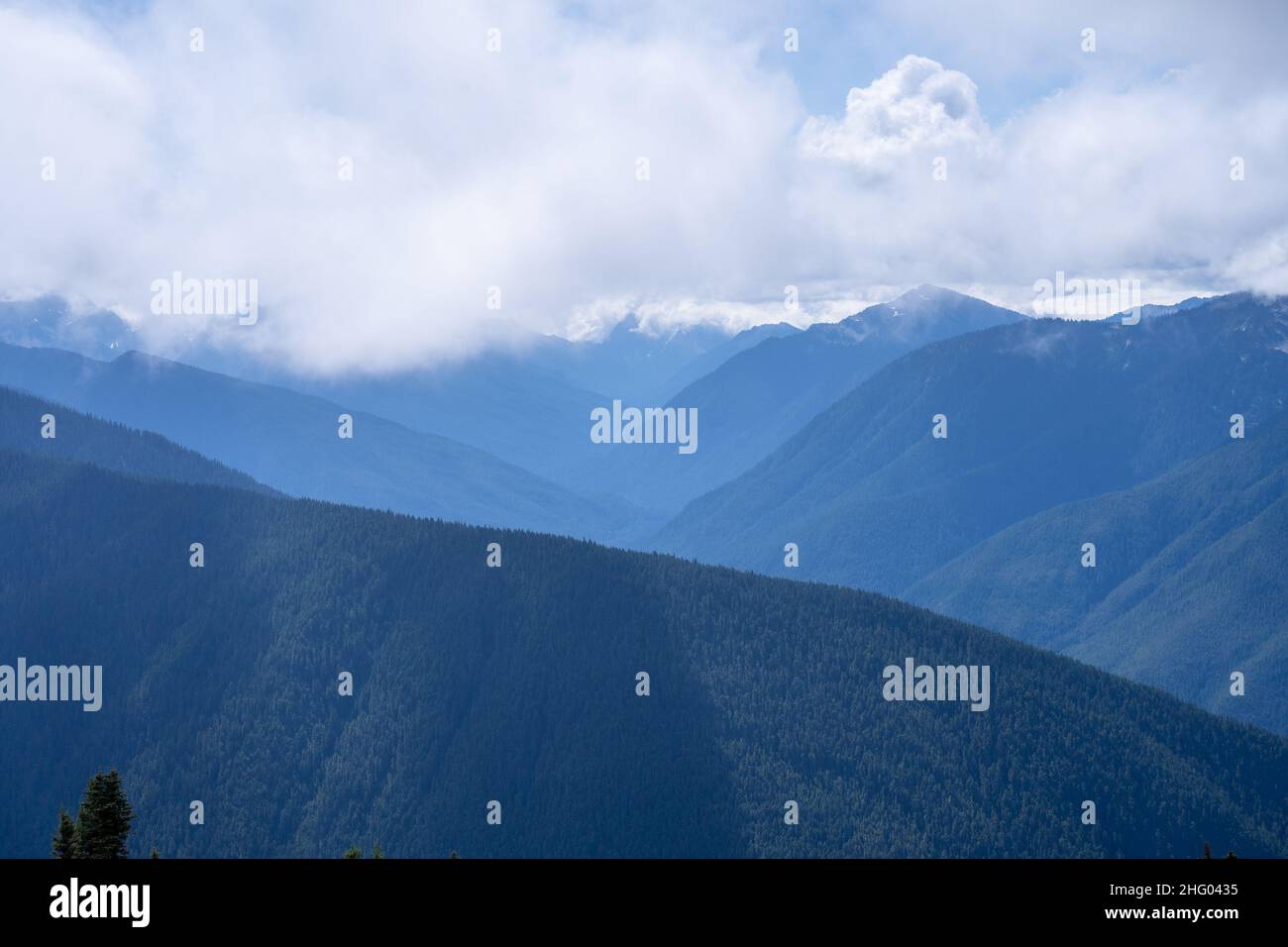 Hurricane Ridge est une région montagneuse du parc national olympique de Washington.À environ 18 km (29 miles) par la route de Port Angeles, la crête est op Banque D'Images