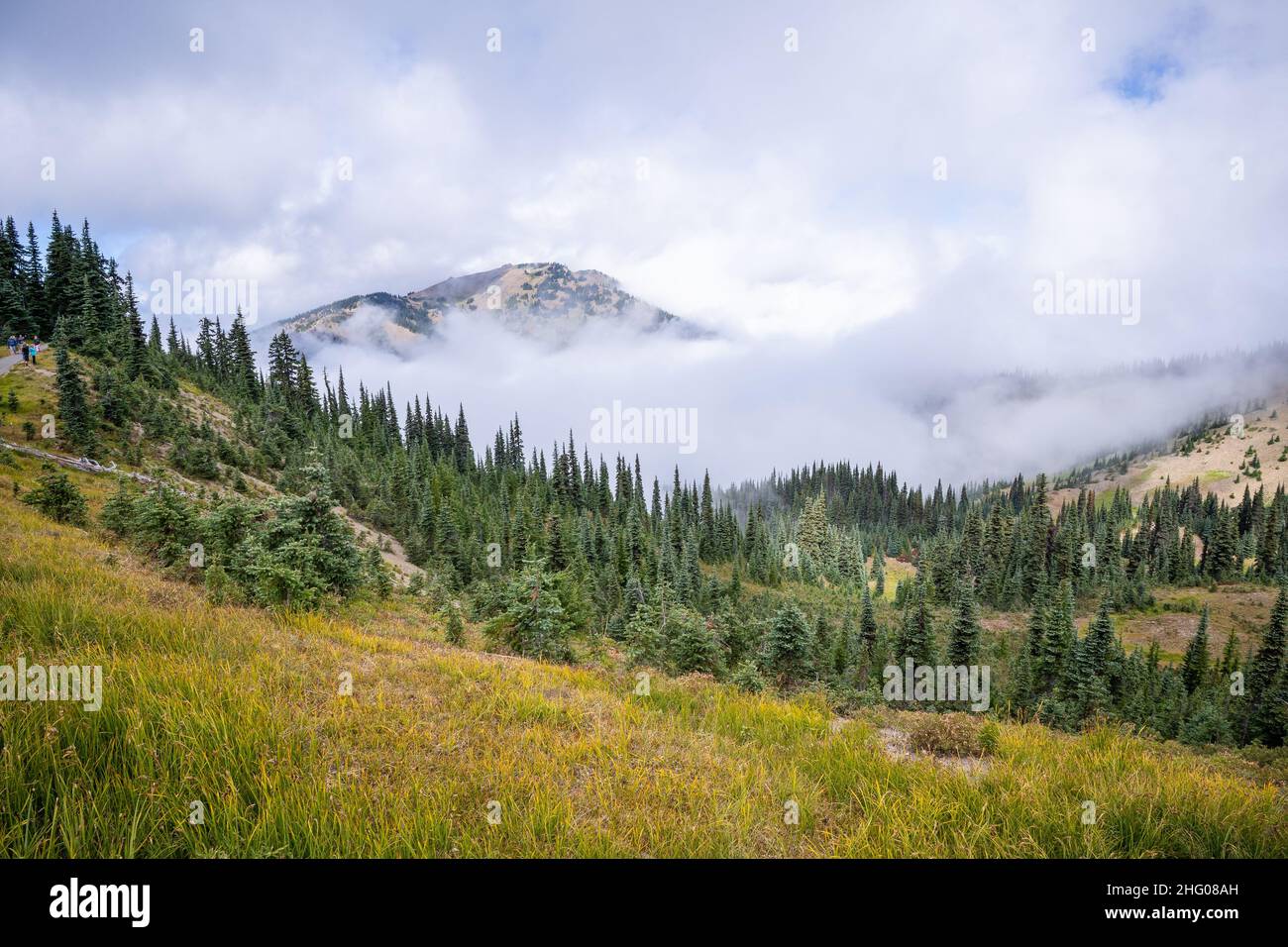 Hurricane Ridge est une région montagneuse du parc national olympique de Washington.À environ 18 km (29 miles) par la route de Port Angeles, la crête est op Banque D'Images