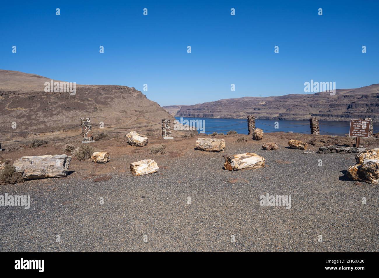 Ginkgo Petrified Forest State Park/Wanapum Recreational Area est une réserve géologique et une aire de loisirs publique couvrant 7 124 acres (2 883 ha) sur le W Banque D'Images