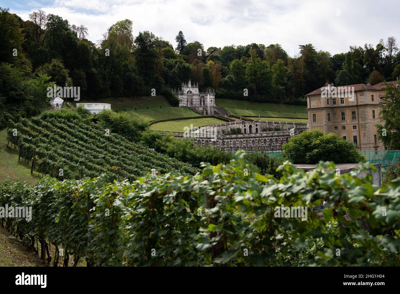 Marco Alpozzi/Lapresse 20 septembre 2021 Turin (to), Italie Actualités récolte dans le vignoble de Balbiano à Villa della Regina, sur la colline de Turin dans la photo: Pano de vignoble Banque D'Images