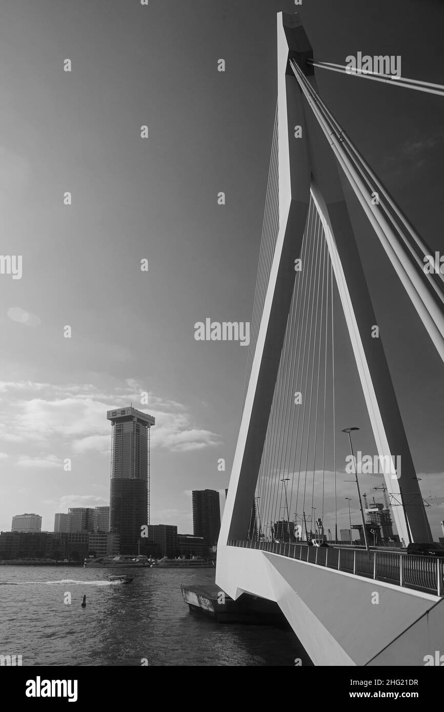 Etude du pont Erasmus dans le centre ville de Rotterdam Banque D'Images