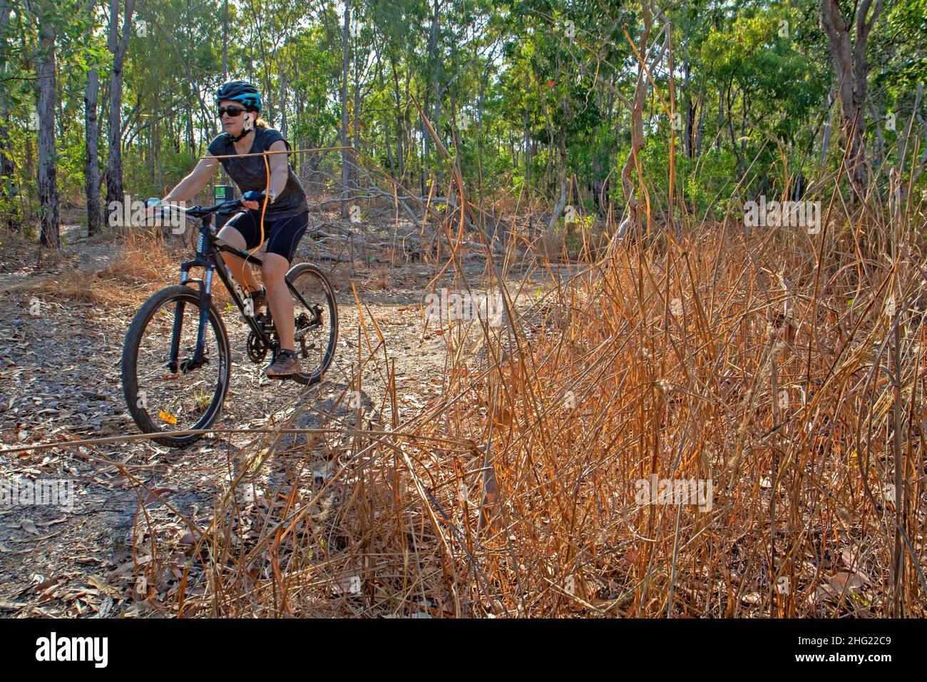 Vélo tout terrain au parc national Charles Darwin Banque D'Images