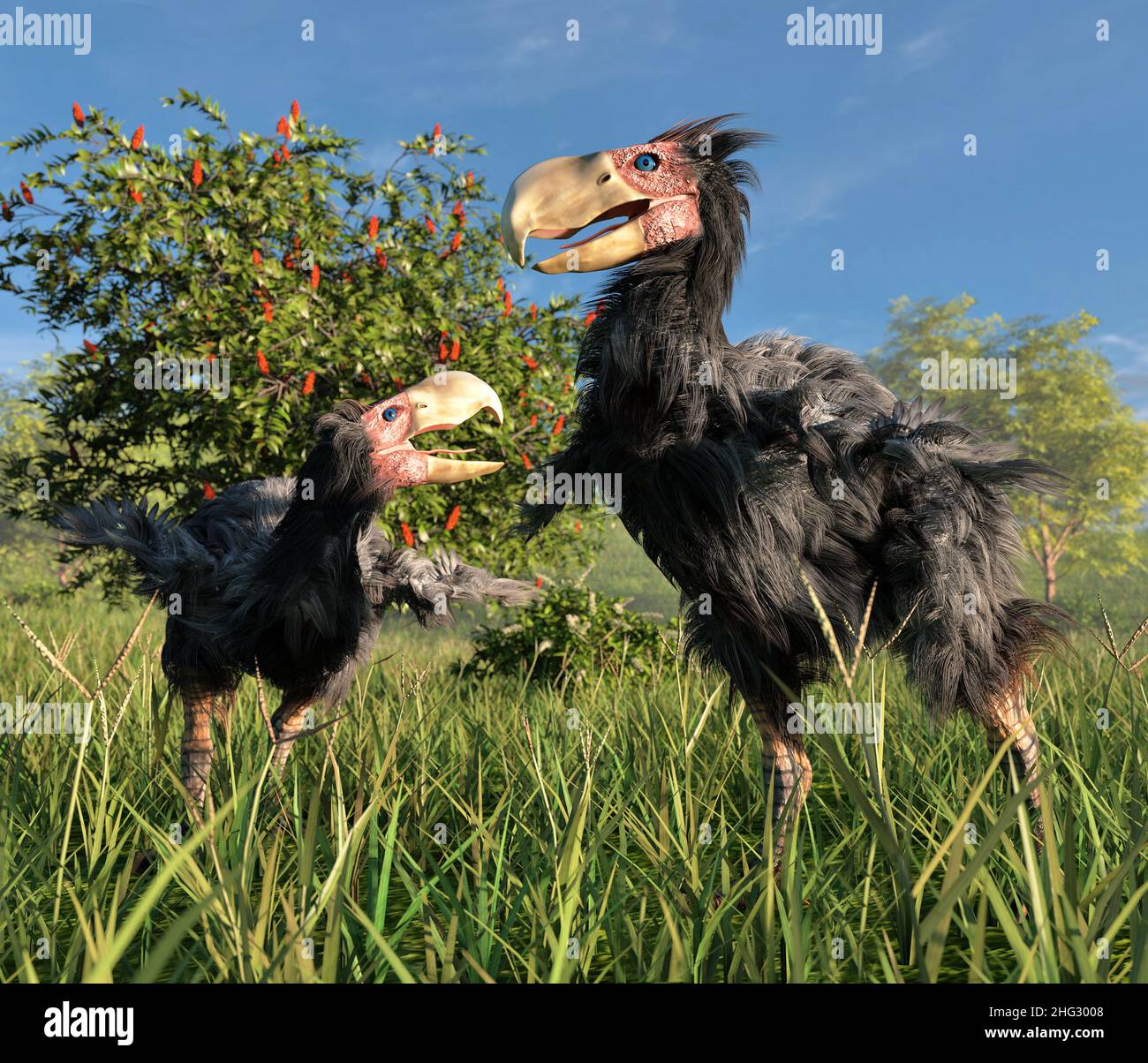 Illustration de deux mâles Gasornis dans une zone humide.Gasornis est un genre éteint de grands oiseaux sans vol qui vivaient à la fin du Paléocène. Banque D'Images