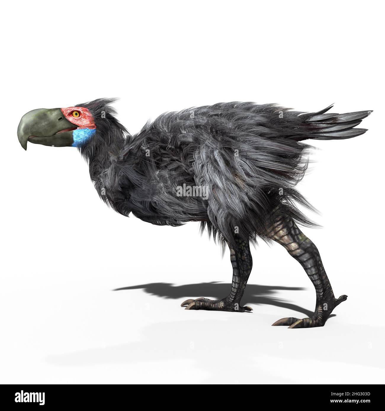 Une illustration de 3D de l'oiseau Terror éteint connu sous le nom de Gasornis sur fond blanc.Gasornis était un grand oiseau préhistorique sans vol. Banque D'Images