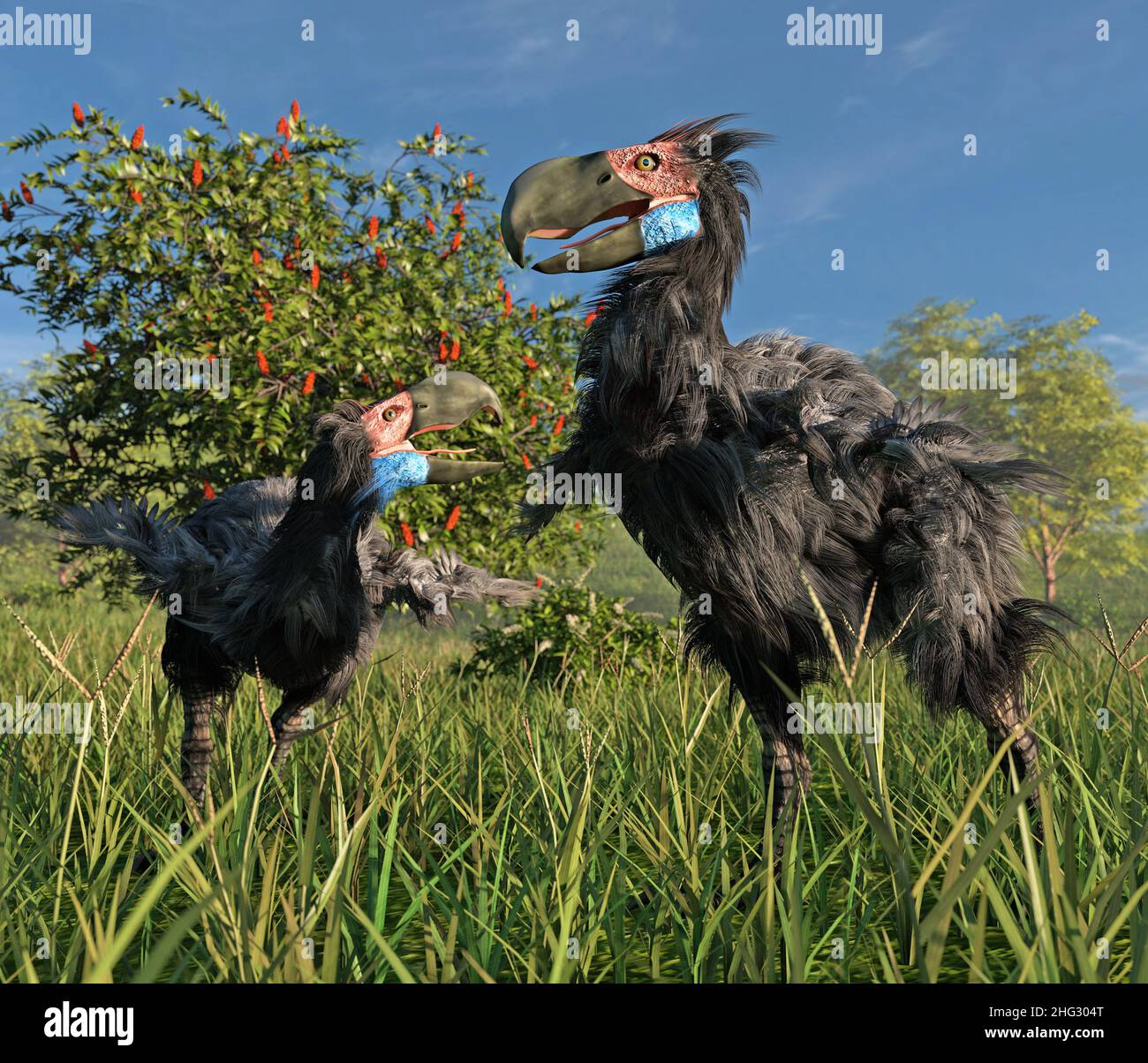 Illustration de deux mâles Gasornis dans une zone humide.Gasornis est un genre éteint de grands oiseaux sans vol qui vivaient à la fin du Paléocène. Banque D'Images